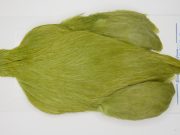 FWRC19 Hackle Unknown Olive