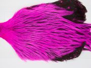FWRC2 Hackle Unknown Badger Pink