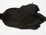 FWRC22 Hackle Unknown Black