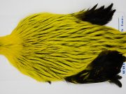 FWRC3 Hackle Unknown Badger Yellow