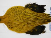 FWRC4 Hackle Unknown Badger Copper Olive