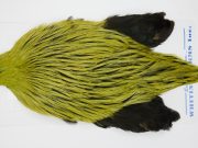 FWRC5 Hackle Unknown Badger Olive