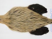 FWRC6 Hackle Unknown Badger Tan