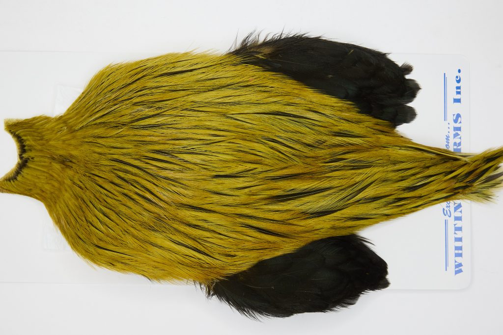FWRC7 Freshwater Wet Fly Hackle Rooster Cape Badger Golden Olive