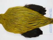 FWRC7 Hackle Unknown Badger Golden Olive