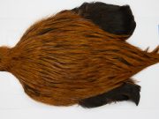 FWRC8 Hackle Unknown Badger Brown