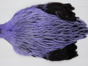 FWRC9 Hackle Unknown Badger Lavender