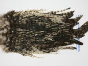 FWRS8-1 Freshwater Wet Fly Hackle Rooster Saddle Unique Variant